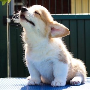 Meet your Posher, Yijun